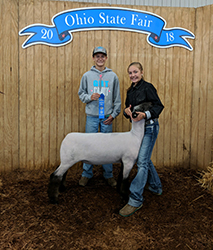 Achor Club Lambs Winners