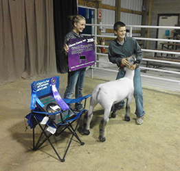 Achor Winners