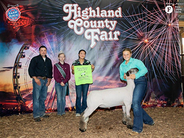 Achor Club Lambs Winners