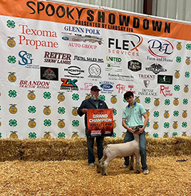 Achor Club Lambs Winners