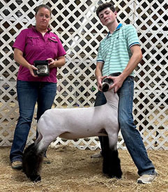Achor Club Lambs Winners