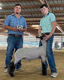 Achor Club Lambs Winners