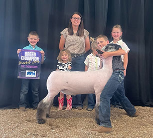 Achor Club Lambs Winners