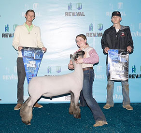 Achor Club Lambs Winners
