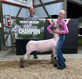 Grand Champion Market Lamb
Defiance County Fair Jackpot (Northwest Ohio) Premier Lamb and Goat Show